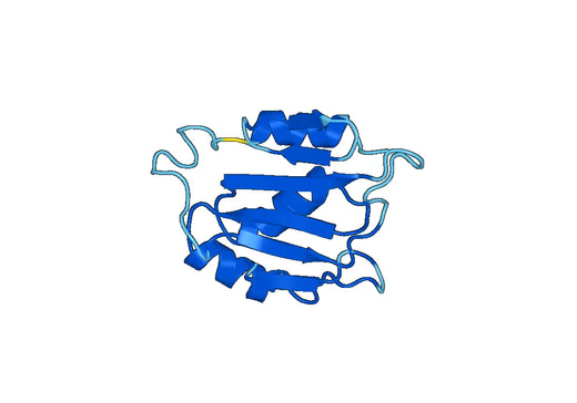 Recombinant Human HNRNPR Protein, N-His