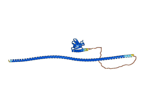 Recombinant Human HOMER1, N-His