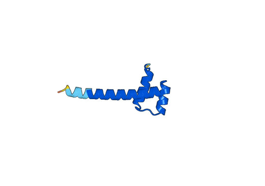 Recombinant Human HOXA10 Protein, N-His-SUMO