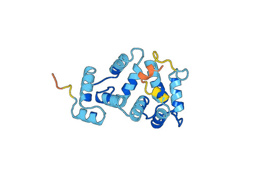 Recombinant Human HPCA, N-His