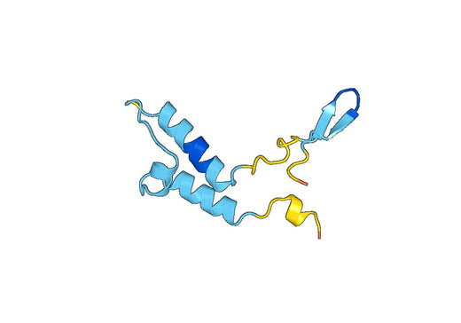 Recombinant Human HPS6 Protein, N-His-SUMO