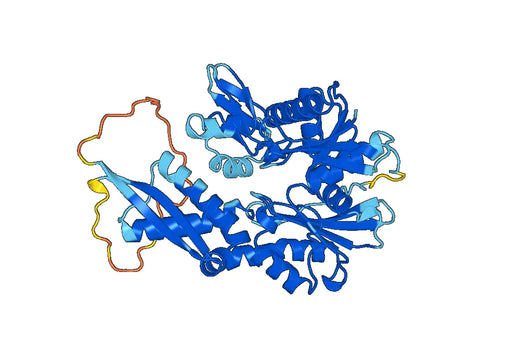 Recombinant Human HSPA13 Protein, N-His
