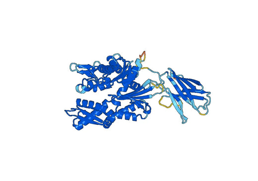 Recombinant Human HSPA14, N-His