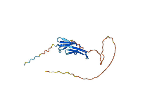 Recombinant Human HSPB7, N-His