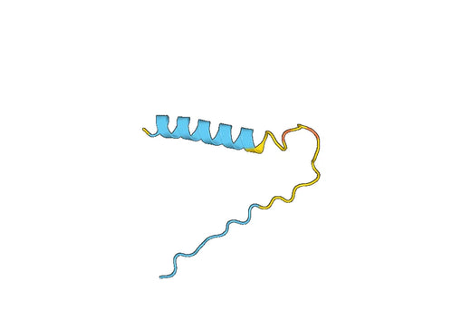 Recombinant Human HTR4 Protein, N-His-SUMO