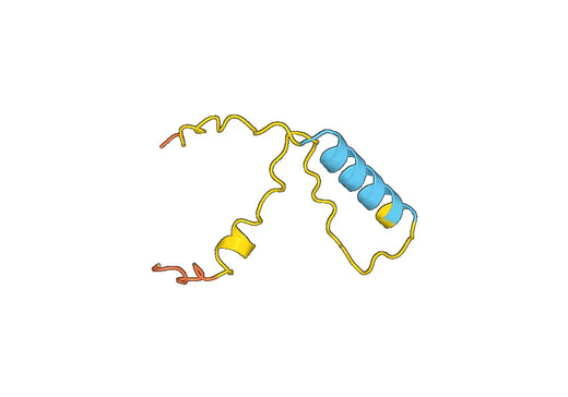 Recombinant Human IAPP Protein, N-His-SUMO