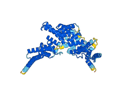 Recombinant Human IFIT1 Protein, N-His