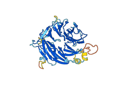 Recombinant Human IFT140 Protein, N-His