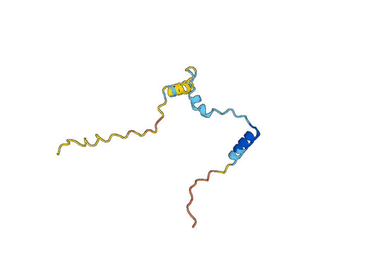 Recombinant Human IFT43 Protein, N-His-SUMO