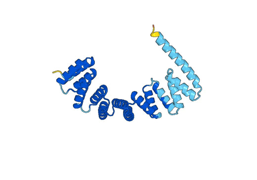 Recombinant Human IFT88 Protein, N-His