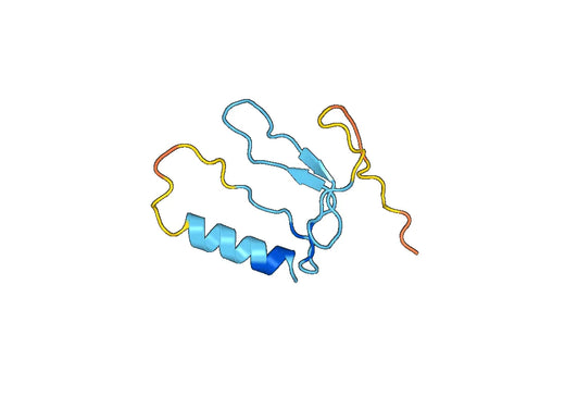 Recombinant Human IGFBP6 Protein, N-His-SUMO