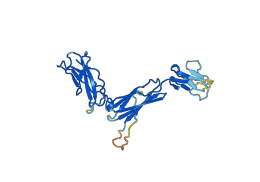 Recombinant Human IL11RA Protein, N-His
