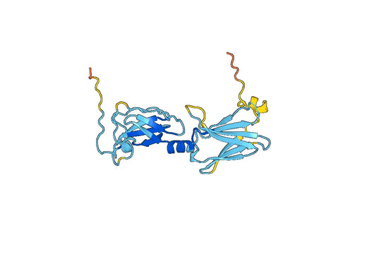 Recombinant Human IL17RC, N-His