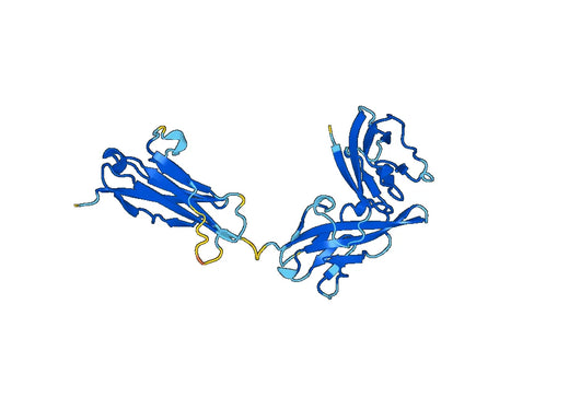 Recombinant Human IL1RL1/ST2 Protein, N-His