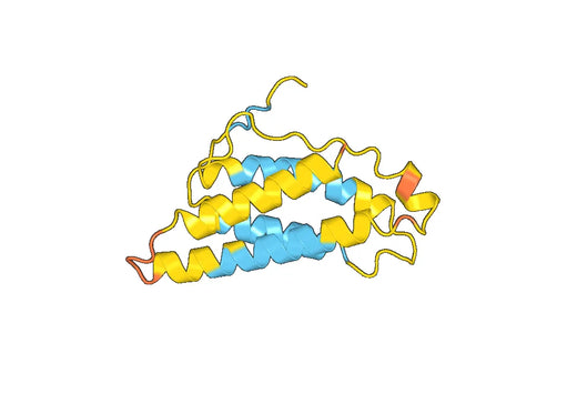 Recombinant Human IL2 Protein, C-His
