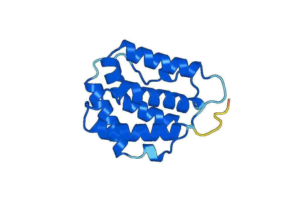 Recombinant Human IL22, N-His