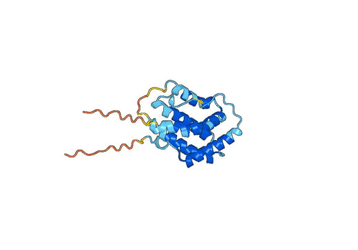 Recombinant Human IL29/IFNL1, N-His