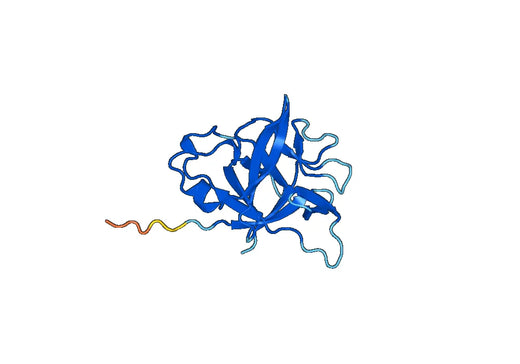 Recombinant Human IL36A/IL-1F6, N-His