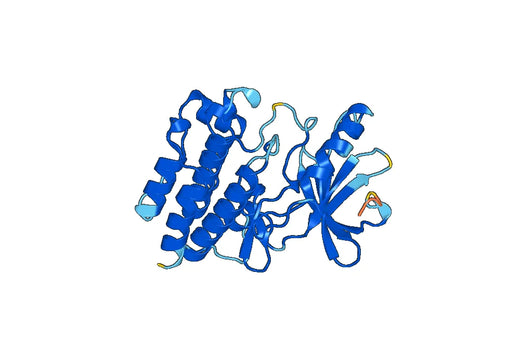 Recombinant Human ILK, N-His
