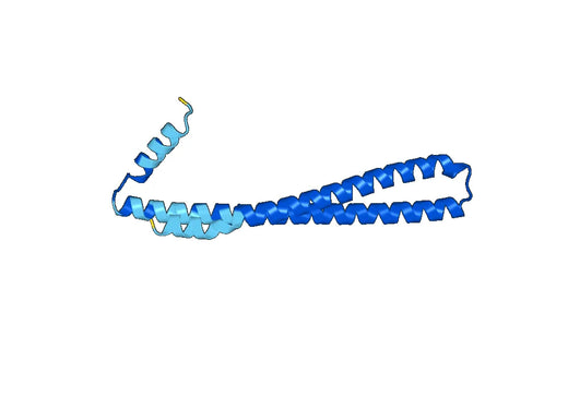 Recombinant Human ING3 Protein, N-His