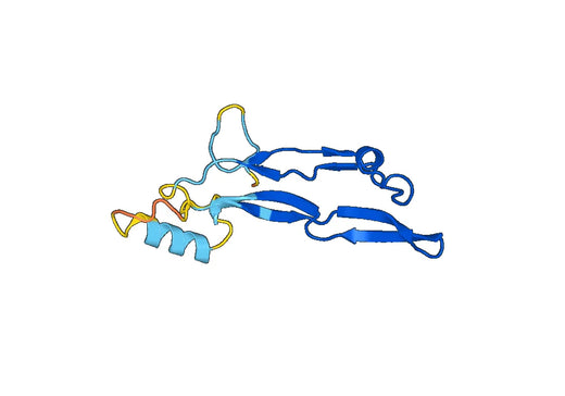 Recombinant Human INHBC, N-His