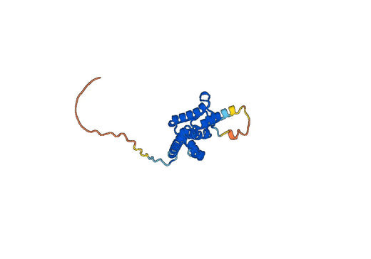Recombinant Human INTS10 Protein, N-His