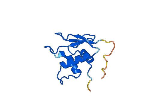 Recombinant Human IRF3, N-His