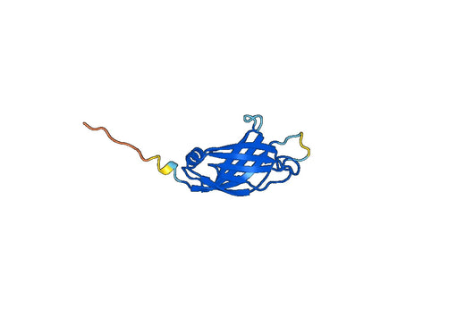 Recombinant Human ITCH Protein, N-His