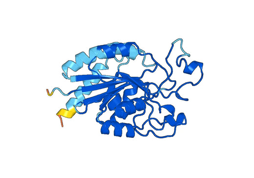 Recombinant Human ITGB6, N-His