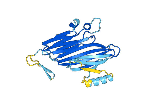 Recombinant Human ITIH4 Protein, N-His
