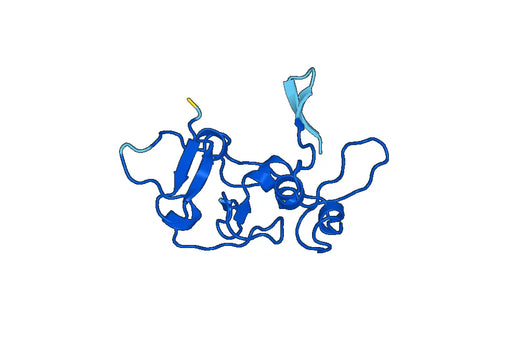 Recombinant Human JADE1 Protein, N-His