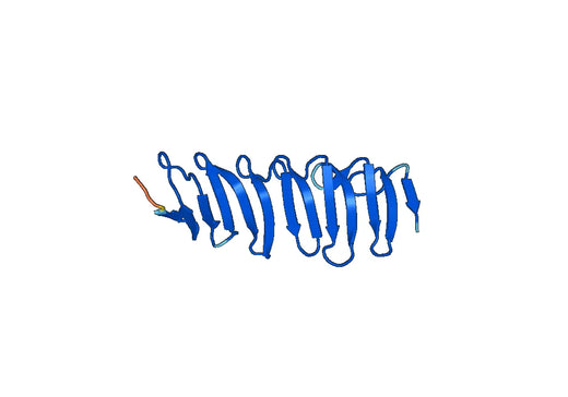 Recombinant Human JPH3/JP-3 Protein, N-His