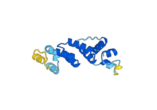 Recombinant Human KEAP1, N-His