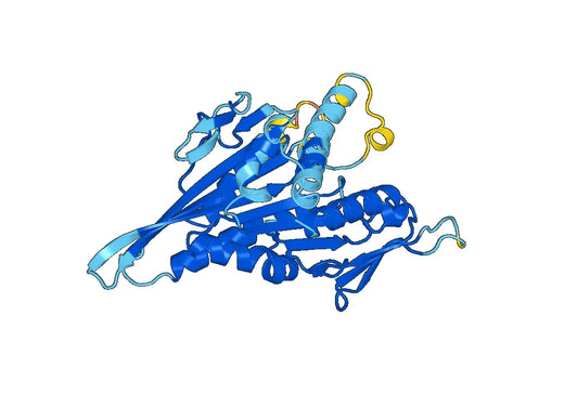 Recombinant Human KIF3A Protein, N-His