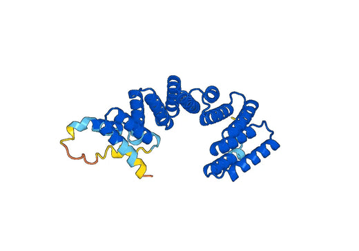 Recombinant Human KLC2 Protein, N-His