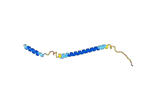 Recombinant Human KRT12 Protein, N-His-SUMO
