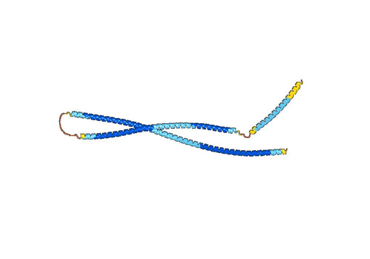 Recombinant Human KRT4 Protein, N-His