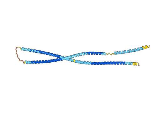Recombinant Human KRT8/CK-8 Protein, N-His