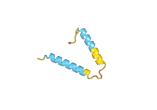 Recombinant Human LACRT Protein, N-His-SUMO