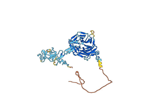 Recombinant Human LDLR Protein, C-His