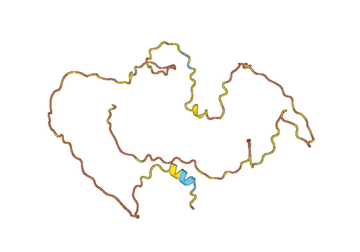 Recombinant Human LEF1, N-His