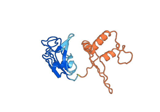 Recombinant Human LGALS3BP, N-His