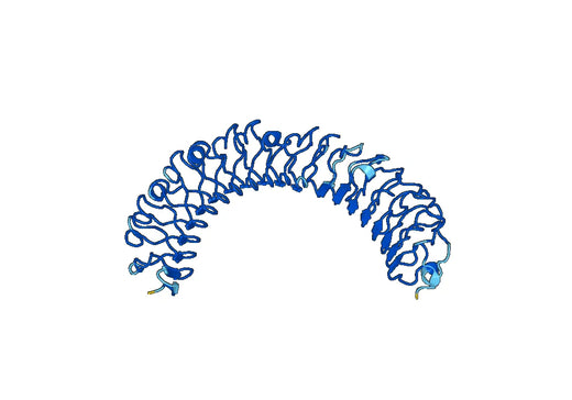 Recombinant Human LGR6 Protein, N-His