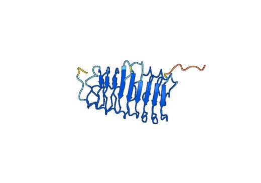 Recombinant Human LHCGR Protein, N-His