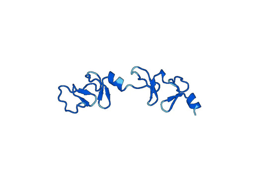Recombinant Human LMX1B Protein, N-His