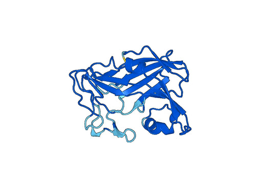 Recombinant Human LOXL1, N-His