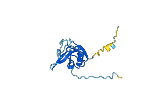 Recombinant Human LOXL4, N-His