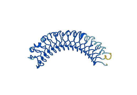 Recombinant Human LRIG1, N-His