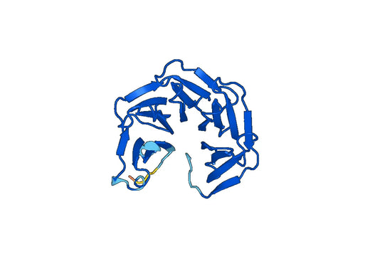 Recombinant Human LRP8, N-His