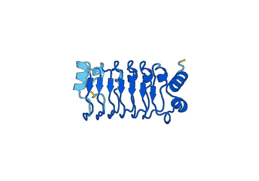 Recombinant Human LRSAM1/hTAL Protein, N-His